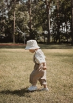IMG_6337.jpeg