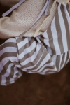 image00005.jpeg